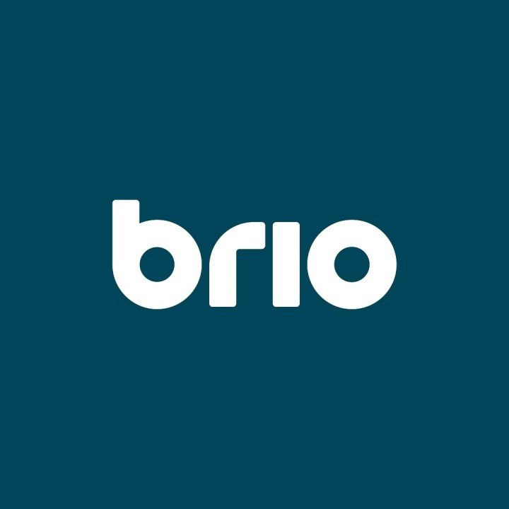 Brio Leisure logo